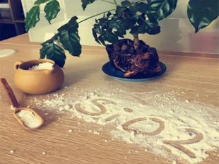 Silica Pols per a aquests additius tal com Carrie Agent